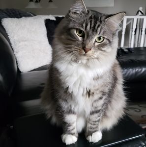 Meet your Posher, Lori